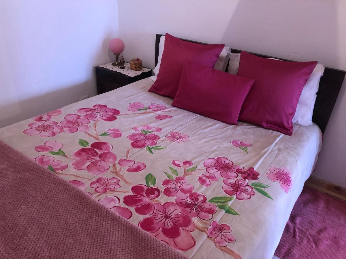 Casal Dos Carpinteiros - Carpenters Couple Villa Silveira  Dış mekan fotoğraf